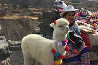 “Sustainability and alpaca are synonyms,” says Director of Trade Commission of Peru in New York