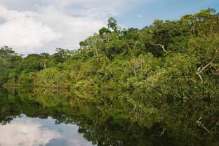 Amazonie : des marques internationales menacent de boycott le cuir brésilien