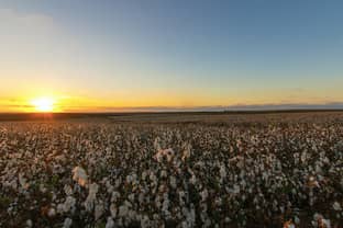 Wrangler lance son programme « Sustainable Cotton » en Europe