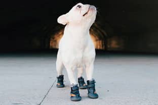 Выпущена первая собачья обувь, вдохновленная кроссовками