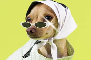 Instagram dog Boobie Billie launches luxury brand