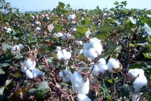 USA blockieren Einfuhr von Baumwolle und Textilien aus Xinjiang