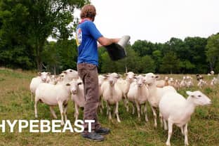 Video: Van samenwerkingen met de grootste merken naar een eigen boerderij runnen: Dan Colen