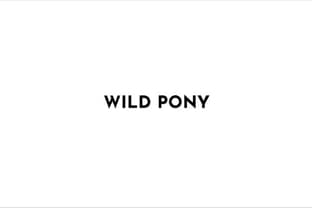 Wild Pony: A todo volumen!