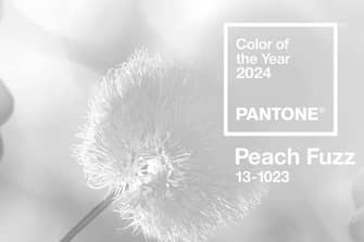 Pantone представил цвет 2024 года