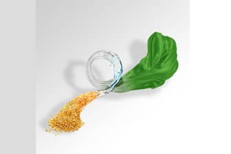 The Lycra Company fabrique désormais une fibre composée à partir de maïs industriel