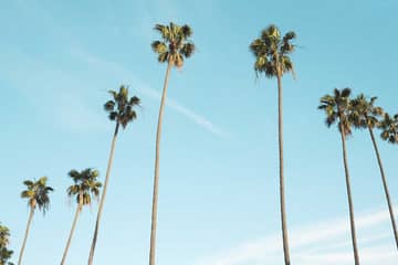 Four fashion professionals share what it's like to work in Los Angeles