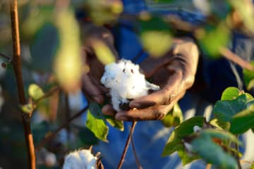 Better Cotton: Programm für Baumwoll-Unternehmen in Côte d'Ivoire