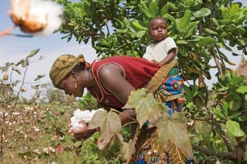 Cotton made in Africa feiert 10. Jubiläum