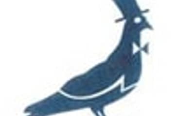Jack Wills victory over battle of the bird logos