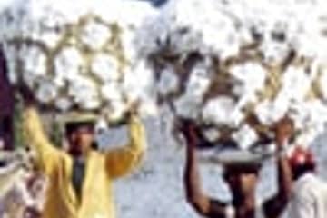 Un groupe indien investit dans une usine de coton en Ethiopie