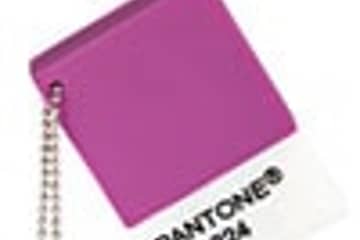 Pantone names colour of the year