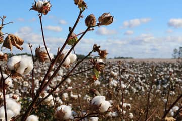 Aandeel duurzame grondstoffen neemt toe bij kleding- en textielbedrijven van Convenant Duurzame Kleding en Textiel 