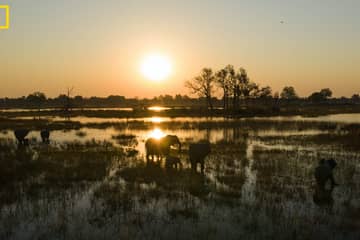 De Beers partners with National Geographic in Africa