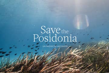 Hoss Intropia se involucra en la conservación de la posidonia oceánica