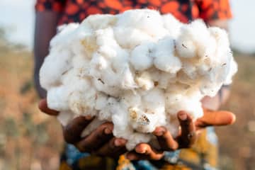 Neue Partnerschaften, stetiges Wachstum bei Cotton made in Africa