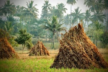 Fashion for Good’s latest project transforms agricultural waste into fibres