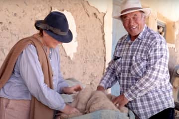 Video: Verena von Eschenbach and The Camel Herders