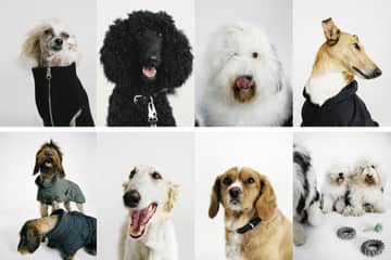 Arket présente une collection pour chiens 