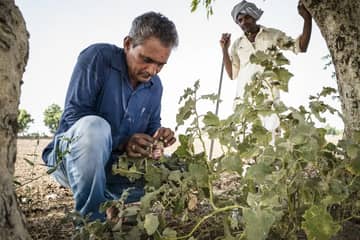 Better Cotton joins Clinton Global Initiative to support sustainable farming