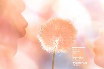 Pantone names ‘Peach Fuzz’ Colour of the Year 2024