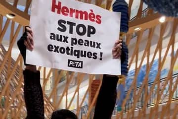 Stop all'uso di pelli esotiche: Peta prende di mira Hermès e Louis Vuitton