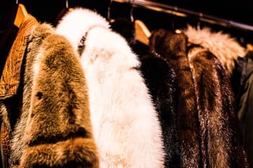Schweiz wird über ein Importverbot von Pelz und Stopfleber abstimmen