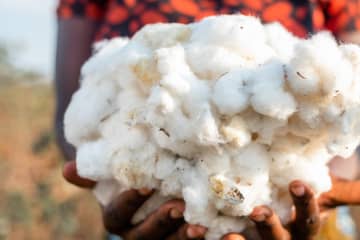 Swedish researchers created viscose from recycled cotton