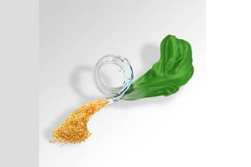  The Lycra Company fabrique désormais une fibre composée à partir de maïs industriel