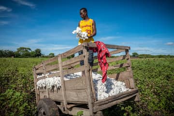 Aid by Trade Foundation veröffentlicht Ergebnisse unabhängiger Kontrollen zu CmiA-Standards