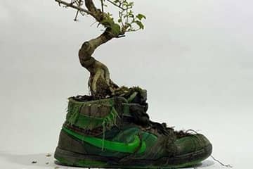 Цветочные кроссовки Nike