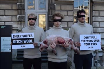 Peta urges menswear designers to not pull 'the Wool' over their Eyes