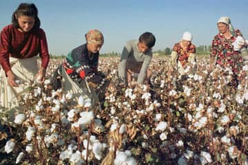 Les grands groupes de mode encouragent la Cotton Campaign