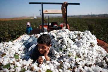Risk of Syrian conflict cotton in your closet worries manufacturers