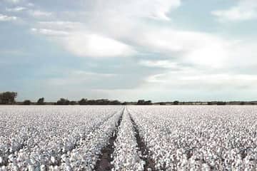 Cotton Usa: 9 italiani su 10 guardano l'etichetta