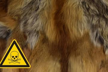 UK Government called on to ban sale of toxic fur apparel following study