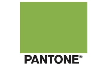 В Pantone назвали главный цвет 2017 года
