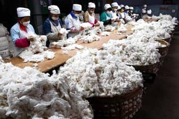 La chine continue à réduire ses plantations de coton face aux bas prix