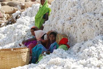 Sustainable Cotton Ranking 2017: einige Vorreiter, viele Nicht-Starter