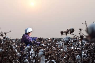 El progreso de la sostenibilidad del algodón en algunas marcas, se queda corto