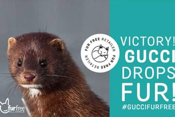 Reactions to Gucci going fur-free