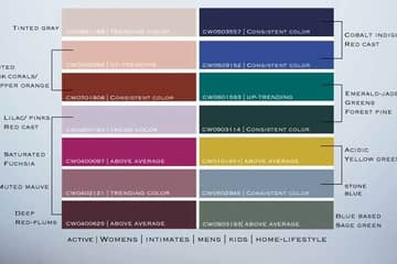 Color Solutions International unveils 2018 colours