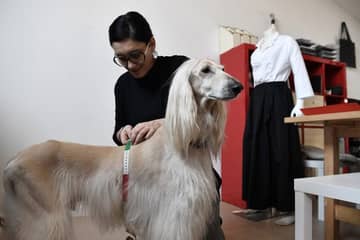 Canine couture cuts a dash in Italy's fashion capital