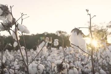 Wrangler reveals environmental benefits of sustainable farmed cotton