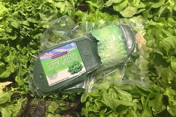 "Их хочется съесть" - Французский бренд выпустил сланцы из капусты и листьев салата