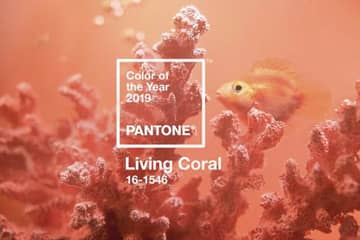Helles Korallenrot ist die Pantone-Farbe des Jahres 2019