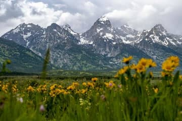 Gut versteuert: Patagonia spendet 10 Millionen US-Dollar für die Umwelt