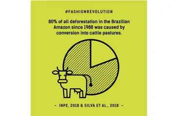 VF Corp stops sourcing leather from Brazil