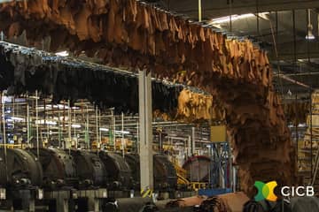 H&M suspende compra de couro brasileiro
