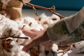 Cotton USA et Oritain signent un nouveau partenariat pour la traçabilité